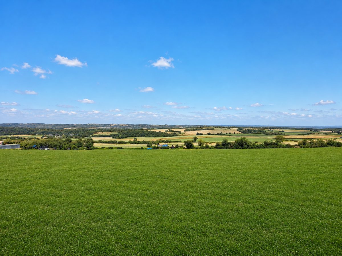 Vue panoramique depuis le jardin