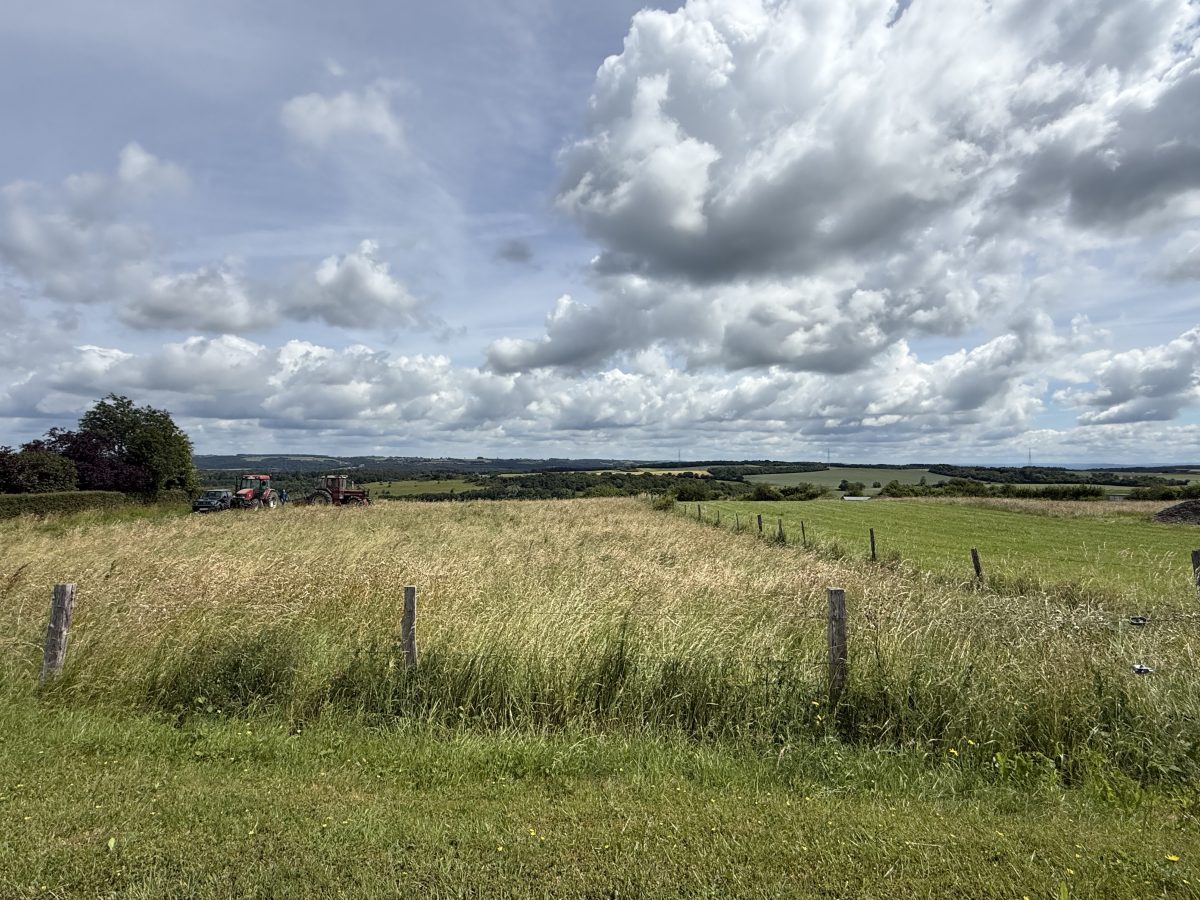 Vue dégagée sur la région